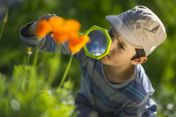 Kind beobachtet die Natur mit der Lupe — Stockfoto