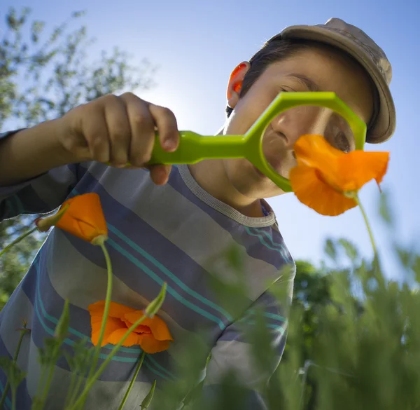 Child observing nature with a magnifying glass — Stock Photo, Image