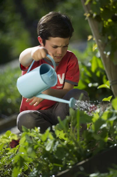 Ragazzo che annaffia i fiori — Foto Stock