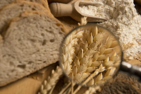 Bread Stills: Variety — Stock Photo, Image