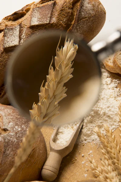 Bröd stillbilder: olika — Stockfoto