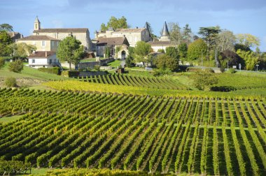 Vineyards of Saint Emilion, Bordeaux Vineyards clipart