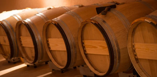 Wine barrels in cellar — Stock Photo, Image