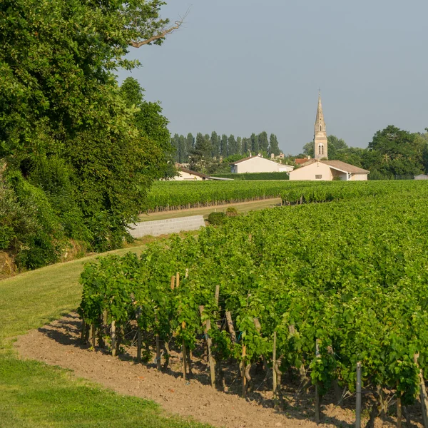 Klein dorpje in de wijngaarden — Stockfoto