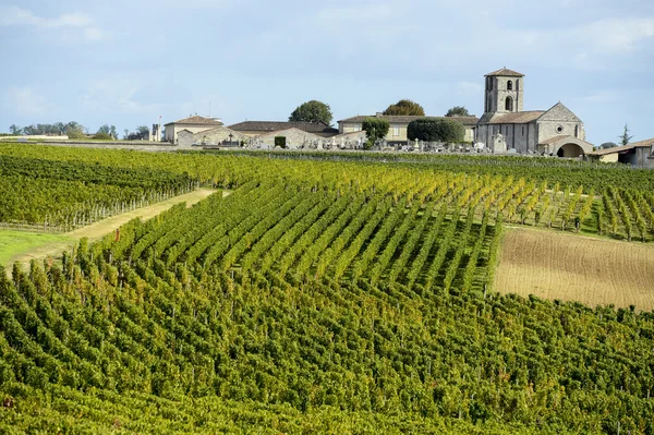 Vinhedos de Saint Emilion, Bordéus Vinhedos — Fotografia de Stock