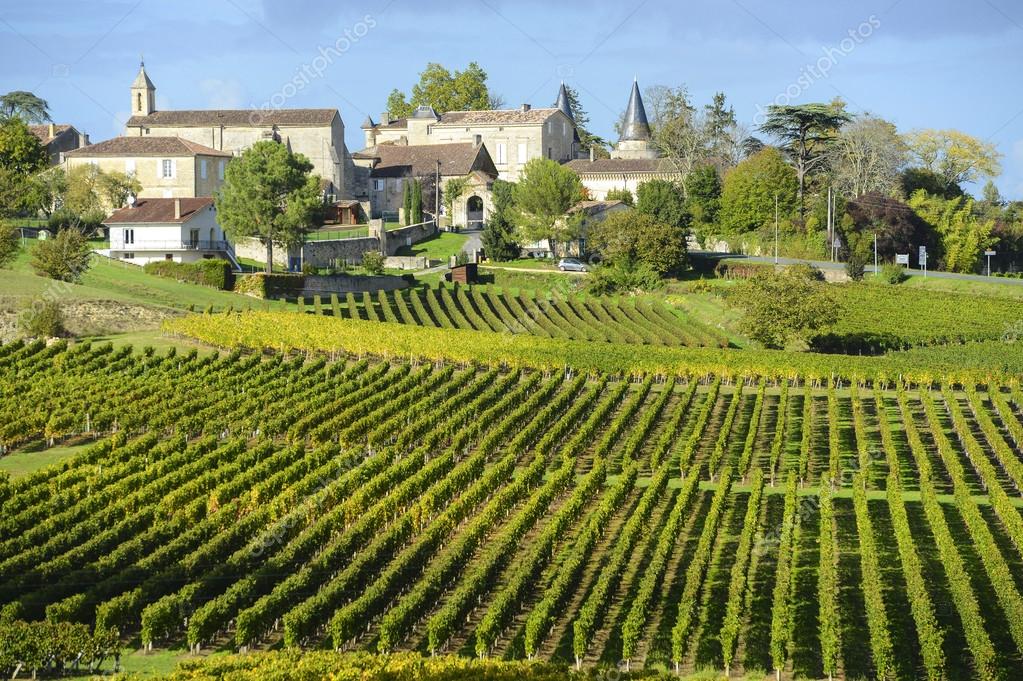 Vineyards of Saint Emilion, Bordeaux Vineyards — Stock Photo © FreeProd