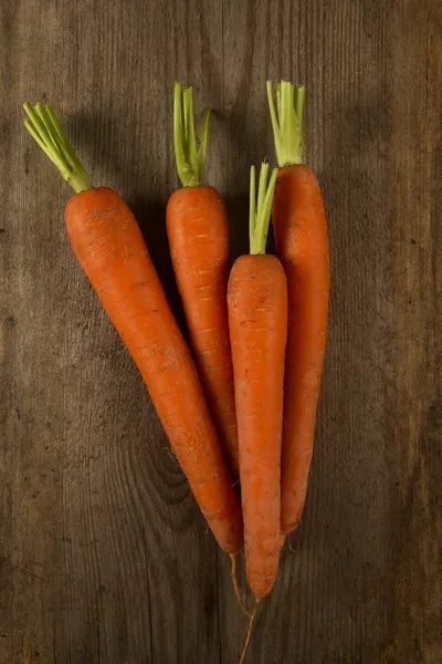 Свіжа морква високо в піщаному грунті — стокове фото