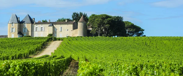 Vineyard and Chateau d'Yquem, Sauternes Region, Aquitaine, Franc — Stock Photo, Image