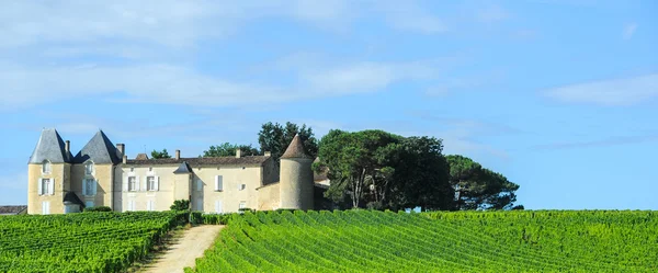 Viñedo y castillo, Región de Sauternes, Aquitania, Francia —  Fotos de Stock