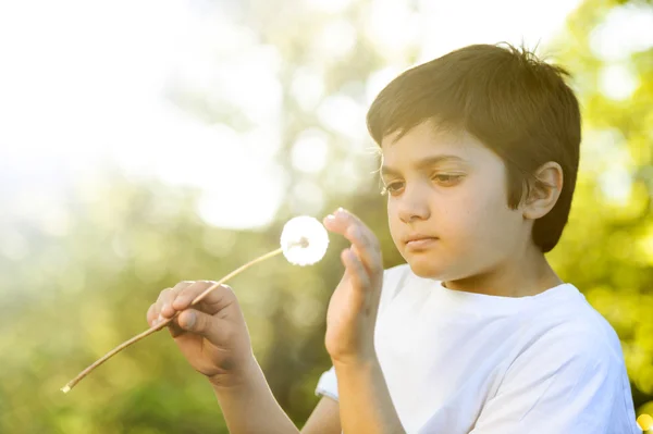 Побажання-молодий хлопчик дме на квітку кульбаби навесні — стокове фото