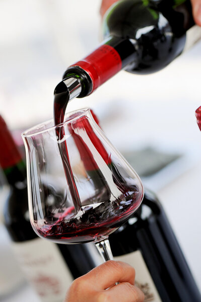 Tasting wine in a vinery