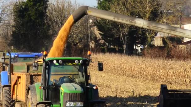 Usine alimentaire, Alimentation, Moulin à céréales Graine-maïs — Video