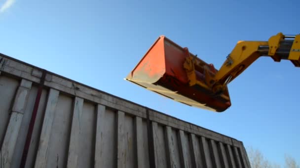 Mat fabriken, mat, stråsäd-traktor dumpning vetekross av fullkorn — Stockvideo