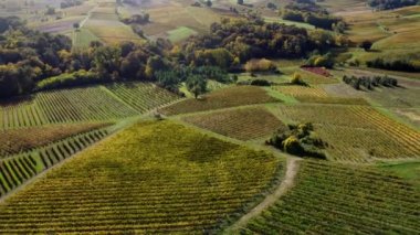 Hava manzaralı Bordeaux Vineyard gündoğumunda, sonbaharda insansız hava aracı tarafından çekilen film, Entre deux mers, Semens, Verdelais