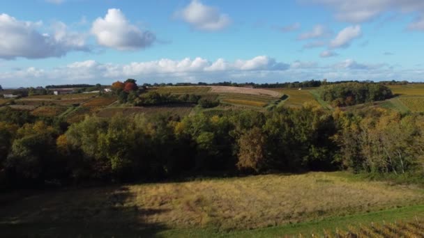 Αεροφωτογραφία Μπορντό Αμπελώνας κατά την ανατολή του ηλίου, ταινία με drone το φθινόπωρο, Entre deux mers, Semens, Verdelais — Αρχείο Βίντεο