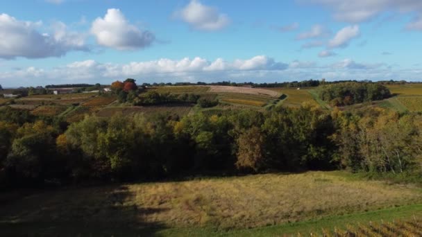 Widok z lotu ptaka Bordeaux Vineyard o wschodzie słońca, jesienią film dronem, Entre deux mers, Semens, Verdelais — Wideo stockowe