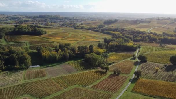 Vista aérea Bordeaux Vineyard al amanecer, película de drone en otoño, Entre deux mers, Semens, Verdelais — Vídeos de Stock
