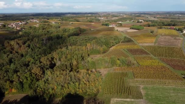 Hava manzaralı Bordeaux Vineyard gündoğumunda, sonbaharda insansız hava aracı tarafından çekilen film, Entre deux mers, Semens, Verdelais — Stok video