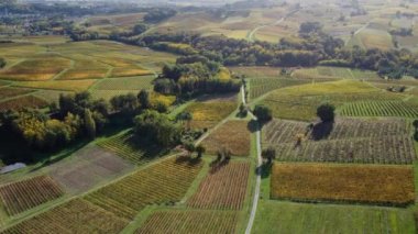 Hava manzaralı Bordeaux Vineyard gündoğumunda, sonbaharda insansız hava aracı tarafından çekilen film, Entre deux mers, Semens, Verdelais