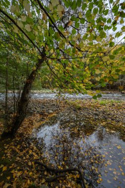 Doğa ve çevre, Aude nehri, sonbaharda orman ve dağlar, Belvianes ve Cavirac, Fransa