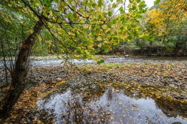 Doğa ve çevre, Aude nehri, sonbaharda orman ve dağlar, Belvianes ve Cavirac, Fransa