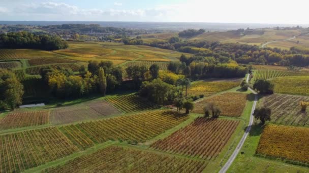 Flygfoto Bordeaux Vineyard vid soluppgången, film med drönare på hösten, Entre deux mers, Semens, Verdelais — Stockvideo