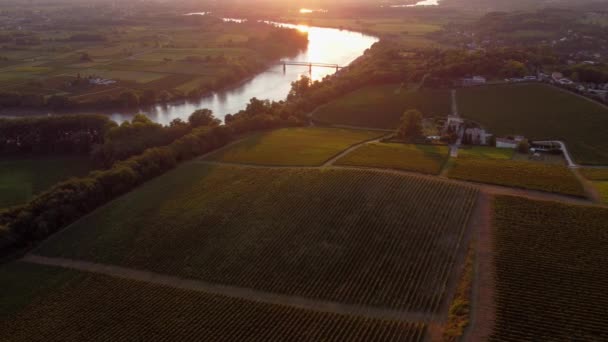 Letecký pohled Bordeaux Vineyard při východu slunce, film po dronu na podzim, Entre deux mers, Langoiran