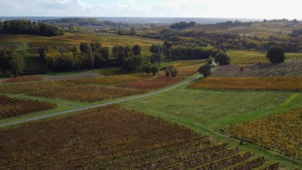 空中からの眺め日の出のボルドー・ヴィニヤード、秋のドローンによる映画、 Entre du mers, Semens, Verdelais — ストック動画