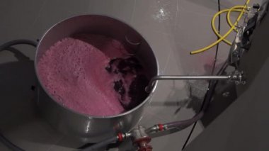 Şarap fabrikası, şarap mahzeninde şarap yaparken üzüm suyu havası, Bordeaux Vineyard, Fransa