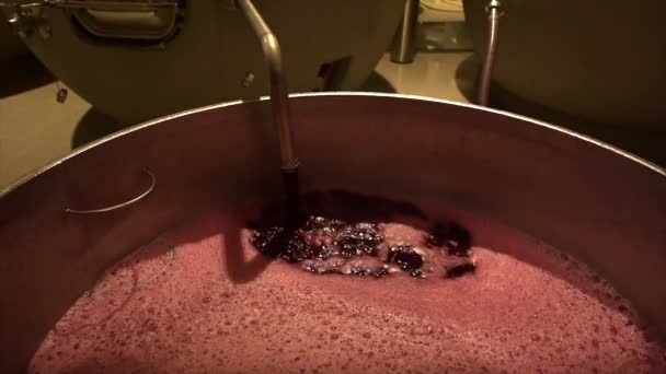 Fábrica de vinho, Aeração de suco de uva durante a produção de vinho em uma adega, Bordeaux Vineyard, França — Vídeo de Stock
