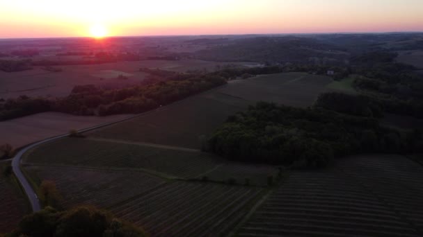 Vista aérea del viñedo en primavera al amanecer, viñedo de Burdeos, Gironda, Francia — Vídeo de stock