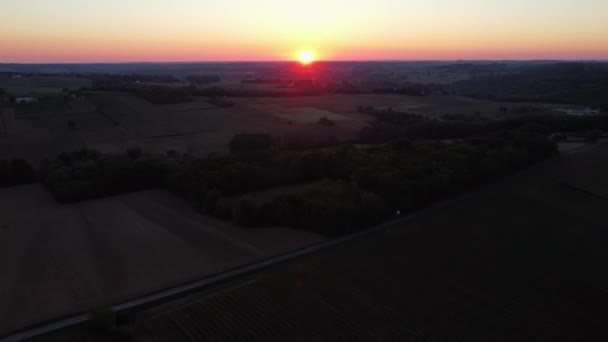 Vista aérea da vinha na primavera ao nascer do sol, Bordeaux Vineyard, Gironde, França — Vídeo de Stock