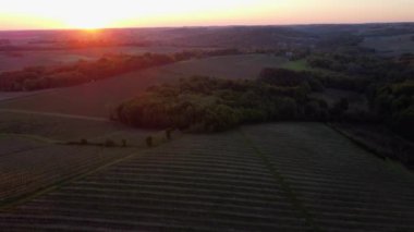 Bahar mevsiminde Bordeaux Vineyard, Gironde, Fransa