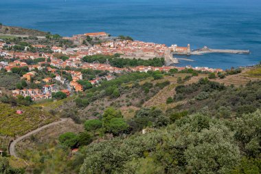 Saint Elme Kalesi 'nden Collioure üzerindeki muhteşem hava manzarası üzüm bağları, Vermeille kıyıları, Fransa
