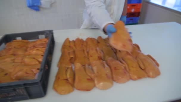 鹅肝是过度喂养的鸭的肝脏，食品制造厂，法国，欧洲 — 图库视频影像