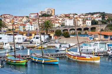 Akdeniz kıyısındaki Banyuls sur Mer plajı, Pirenes Orientales bölümü, güney Fransa