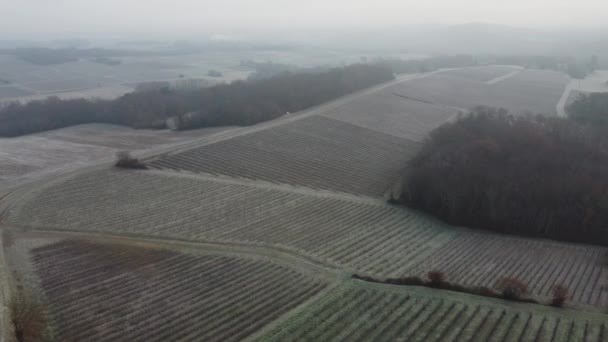 Aerial view Bordeaux Vineyard in winter , frost, Entre deux mers, Langoiran — Stockvideo