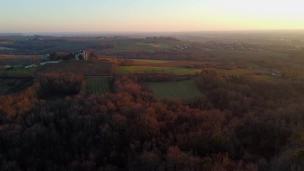 Luchtfoto van wijngaard in de winter, Bordeaux Wijngaard, Gironde, Frankrijk — Stockvideo