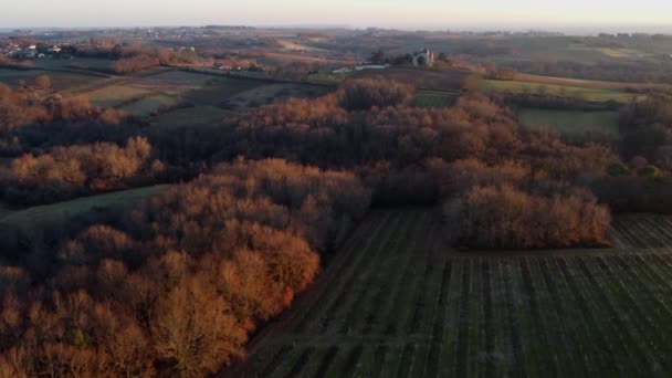Vista aérea del viñedo en invierno, Viñedo de Burdeos, Gironda, Francia — Vídeos de Stock