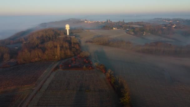 Vista aérea del viñedo en invierno congelado, heladas en la vid, viñedo de Burdeos, Gironda, Francia — Vídeos de Stock