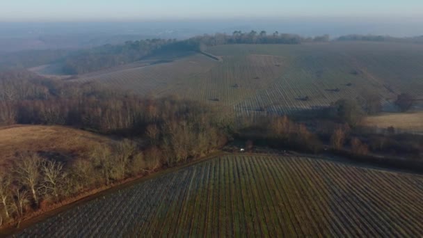 Vista aérea del viñedo en invierno congelado, heladas en la vid, viñedo de Burdeos, Gironda, Francia — Vídeo de stock