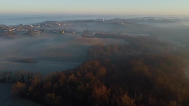 Luftaufnahme des Weinbergs im gefrorenen Winter, Raureif an der Rebe, Weinberg Bordeaux, Gironde, Frankreich — Stockvideo
