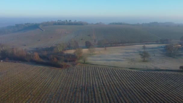 Luftaufnahme des Weinbergs im gefrorenen Winter, Raureif an der Rebe, Weinberg Bordeaux, Gironde, Frankreich — Stockvideo