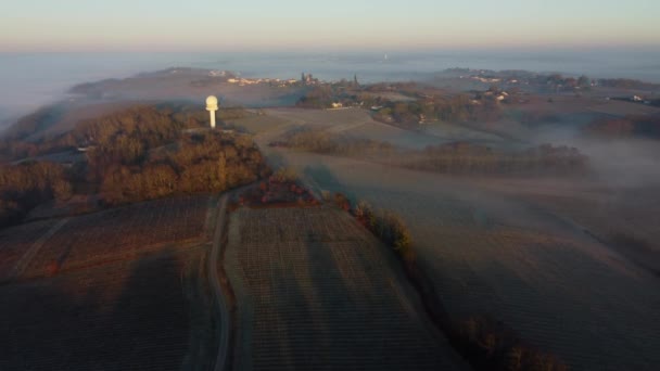 Luchtfoto van de wijngaard in de bevroren winter, vorst op de wijnstok, Bordeaux Wijngaard, Gironde, Frankrijk — Stockvideo