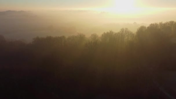 Widok z lotu ptaka na winnicę w mroźnej zimie, mróz na winorośli, Bordeaux Vineyard, Gironde, Francja — Wideo stockowe