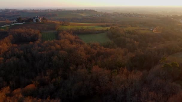 Vista aérea del viñedo en invierno, Viñedo de Burdeos, Gironda, Francia — Vídeos de Stock