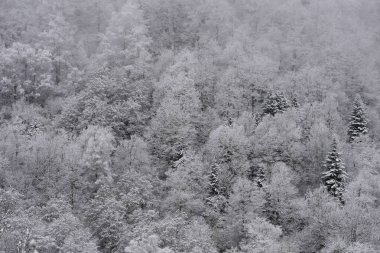 Kış panoraması, Donmuş ağaçlar, Fransa, Ariege, Pireneler Dağları