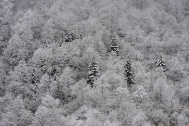 Kış panoraması, Donmuş ağaçlar, Fransa, Ariege, Pireneler Dağları