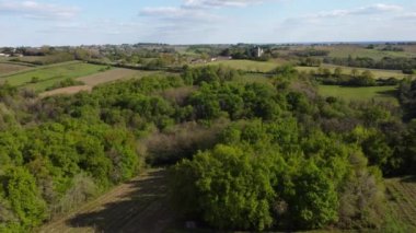 İlkbaharda üzüm bağının hava manzarası, Bordeaux Üzüm bağı, Gironde, Fransa