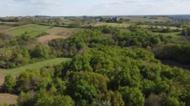 İlkbaharda üzüm bağının hava manzarası, Bordeaux Üzüm bağı, Gironde, Fransa